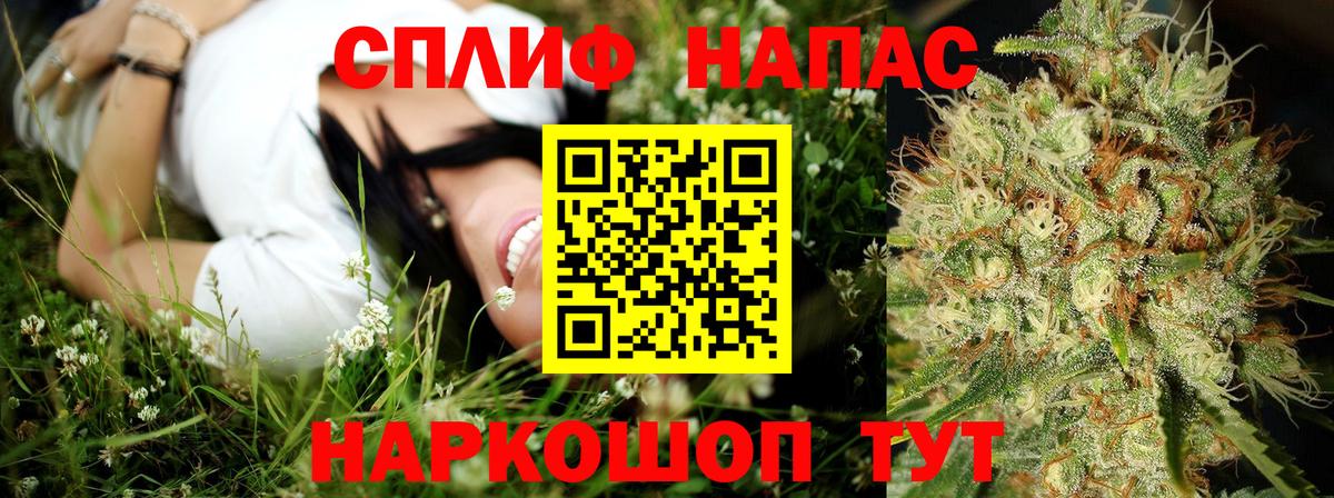 Бошки марихуана Amnesia Каменск-Шахтинский